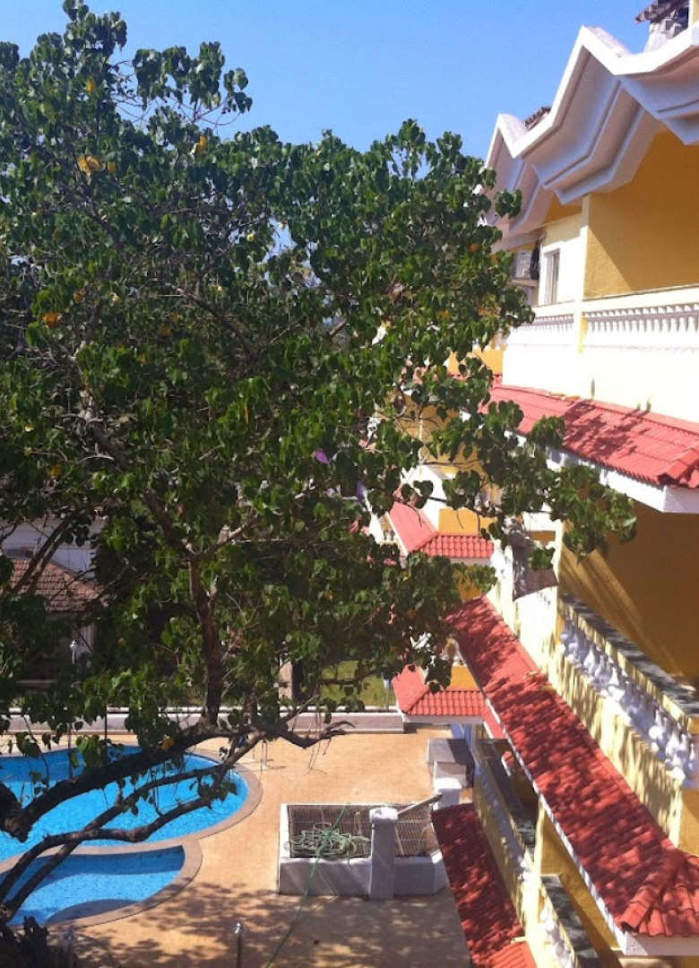 Activities pamela palms property e1667539817801 c1e896e9